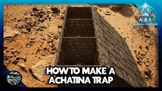 How to Make a Achatina Trap in Ark Survival Ascended [upl. by Edorej]