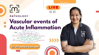 Understanding Vascular Events of Acute Inflammation  MedLive by Dr Priyanka [upl. by Anipsed]