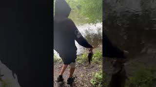 Smallmouth Bass fishing fishingvideo fishinglife bassfishing smallmouthbassfishing smallmouth [upl. by Irtak928]