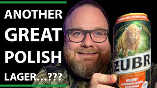 ZUBR 6ABV Polish lager Beer Review [upl. by Ehcnalb357]