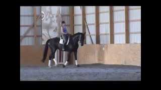 Winters and Hailey Leishear practice ride Dressage Test 31 [upl. by Aligna2]