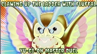 YuGiOh Master Duel  Clawing Up The Ladder With Fluffals [upl. by Innoj]