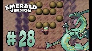 Pokémon Emerald Walkthrough Part 28  Seafloor Cavern [upl. by Johnath]