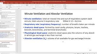 48 Compliance pulmonary volumes alveolar ventilation Dalton’s law and principles of gas exchange [upl. by Sulihpoeht]