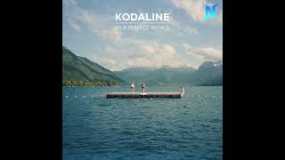 All I Want  Kodaline [upl. by Botnick]