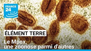 Les dérèglements de lenvironnement conduisent à une augmentation des épidémies dorigine animale [upl. by Lillian]