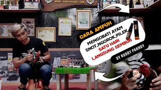 CARA MENGOBATI AYAM SAKIT SNOT NGOROK PILEK  PALING AMPUH SEHARI SEMBUH [upl. by Cordell]