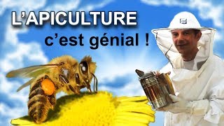 APICULTURE viste des ruches de Raoul lapiculteur [upl. by Oneil]