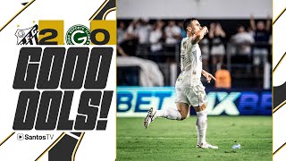 SANTOS 2 x 0 GOIÁS  GOLS  BRASILEIRO B 190624 [upl. by Isidro473]