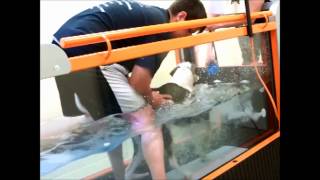 Greenbriar Underwater Treadmill Video Narrated By Dr Hooman Pooya 2013 [upl. by Sillig550]