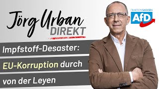 ImpfstoffDesaster EUKorruption durch von der Leyen [upl. by Ardnayek]