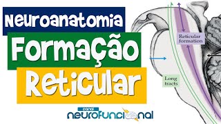 NEUROANATOMIA Formação Reticular e Coma [upl. by Meeker87]