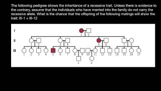 How to solve pedigree probability problems  1 [upl. by Acirretahs]