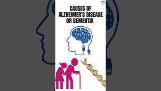 What are the Causes of Alzheimers or Dementia alzheimer dementia causes medicalshortsshort [upl. by Atnohs]