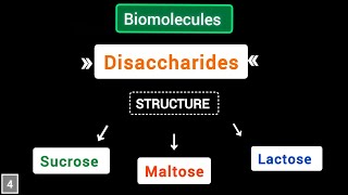 What are Disaccharides structure of sucrose maltose lactose  Biomolecules  simplified [upl. by Yerfej]