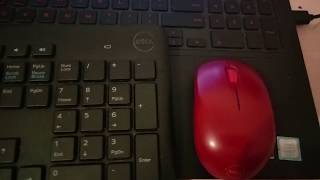 Fix Dell Wireless Keyboard and Mouse Not Working [upl. by Ecirehc660]