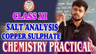 🔥🔥💥 CLASS XI CHEMISTRY PRACTICALS  SALT ANALYSIS  COPPER SULPHATE [upl. by Noseyt947]