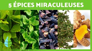 5 ÉPICES MIRACULEUSES que vous devriez INCLURE dans votre RÉGIME 💚 Bienfaits pour la SANTÉ [upl. by Acinehs610]