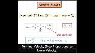 Terminal Velocity Drag Proportional to Linear Velocity [upl. by Doug585]