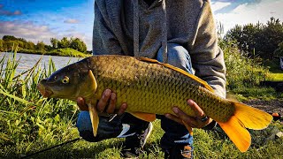 Partridge Lakes Fishery  What a fantastic place [upl. by Aramas]