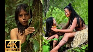 HUTAN AMAZON 4KFILM RELAKSASIMENGENAL HEWAN LIARMUSIK MEDITASI DAN SUARA ALAM [upl. by Barlow873]