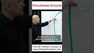 Glucokinase Enzyme shorts shortvideo drnajeeb [upl. by Annawt193]