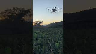 Drone DJI T40 [upl. by Ayyn]