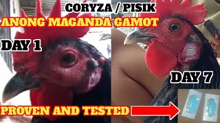 TREATMENT CORYZAPISIK PROBLEM SOLVE [upl. by Robma261]