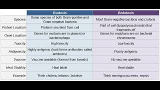 Endotoxins and Exotoxins  bacteria  noorpharmacylectures8513 [upl. by Lozar]