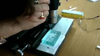 Travelling microscope To find refractive index of glass slabusing travelling microscope Prakash [upl. by Namad]