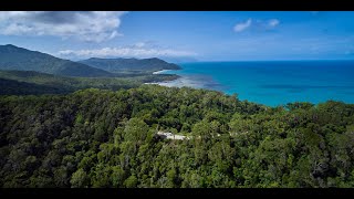 3 Day Cape Tribulation amp Cooktown Wanderer Small Group Touring from Cairns [upl. by Malha]