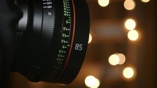 Canon CNE Cinema Primes Hands On Review [upl. by Aimerej]