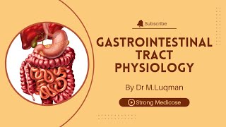 GIT physiology part 9  Large Intestine Movements  Haustrations and Mass movements [upl. by Ecadnak892]