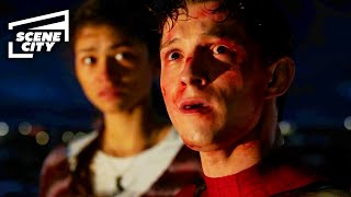 SpiderMan No Way Home Peter Meets Other SpiderMan Tom Holland Tobey Maguire Andrew Garfield [upl. by Niwle]