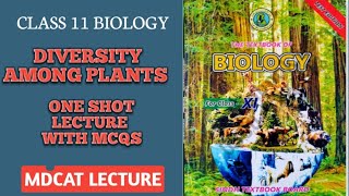 DIVERSITY AMONG PLANTS ONE SHOT PART 22  MCQS ALSO EXPLAINED  DOCTORS STOP BIOLOGY [upl. by Lilybelle169]