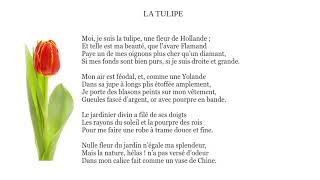 La Tulipe Théophile Gautier [upl. by Mic]