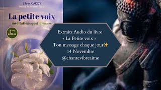 La petite voix  14 Novembre ✨ Message conseil du jour amp méditation  Extrait audio du livre [upl. by Tucker]