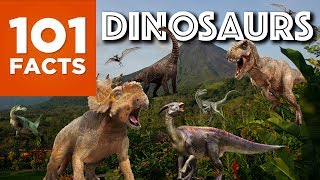 101 Facts About Dinosaurs [upl. by Jansen]