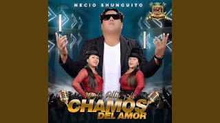 Necio Shunguito [upl. by Nove]