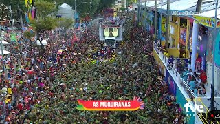 Calma Calabreso no Carnaval de Salvador TropaDoDavi [upl. by Fredric]