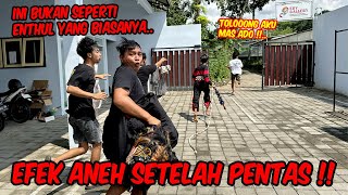 Kenapa jadi serem gini ya  ENTHUL MASIH GAK TERIMA SETELAH PENTAS KEMARIN [upl. by Namyaw]