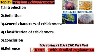 phylum Echinodermetagenaral character and classification of echidermetaechidermeta [upl. by Keverne]