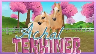 Unser ACHAL TEKKINER aus der Star Stable Horses APP SSO [upl. by Web]