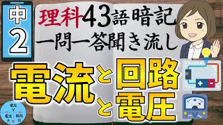 【中2理科一問一答④】電流と回路・電圧・抵抗／聞き流し／図解あり [upl. by Wallache]