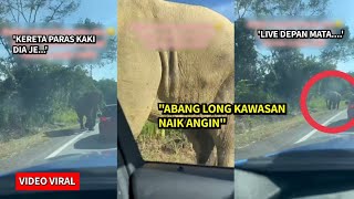 TRAGEDI RAYA ‼️ KERETAKEMEK DIREMPOH GAJAH 🔴 KEJADIAN GAJAH MATl DI JRTB GERIK JELI [upl. by Tarrsus]