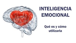 Inteligencia Emocional qué es y cómo utilizarla [upl. by Iraam753]