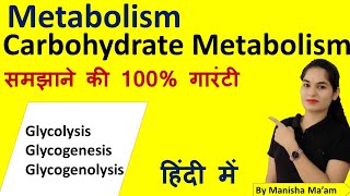 Metabolism  Carbohydrate Metabolism  Carbohydrate Metabolism in hindi  Biochemistry [upl. by Curzon]