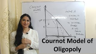 Cournot Model of Oligopoly [upl. by Bulley35]