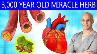 3000 Year Old Miracle Herb for Clogged Arteries Diabetes amp Heart Disease  Dr Mandell [upl. by Chapman]