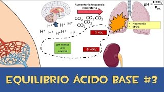 Equilibrio ácido base 3 💉 Amortiguador respiratorio y renal [upl. by Malloy532]